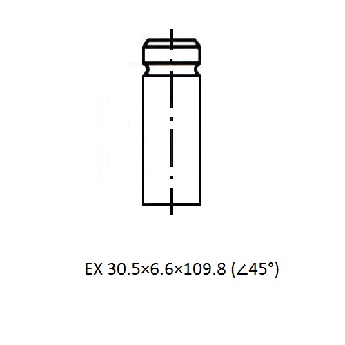 Z17429R — ZIKMAR — Клапан ДВС