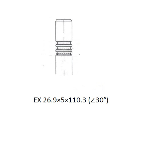 Z17455R — ZIKMAR — Клапан ДВС