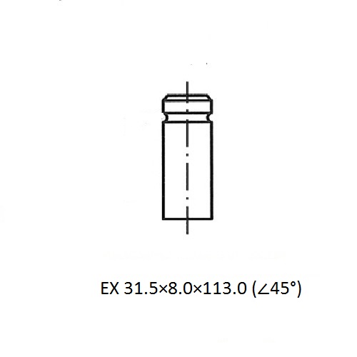 Z17498R — ZIKMAR — Клапан ДВС