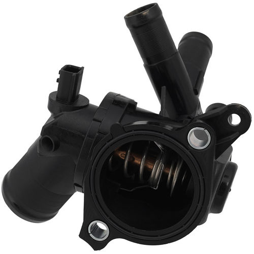 Z69585R — ZIKMAR — Термостат в сборе с корпусом