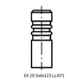 Z17541R — ZIKMAR — Клапан ДВС