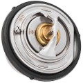 Z69570R — ZIKMAR — Термостат